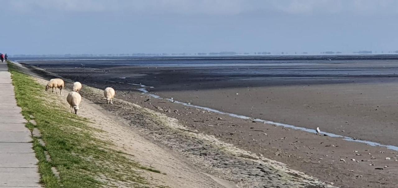 Апартаменти Fewo Mit Meerblick - Direktzugang Zur Nordsee Вільгельмсгафен Екстер'єр фото